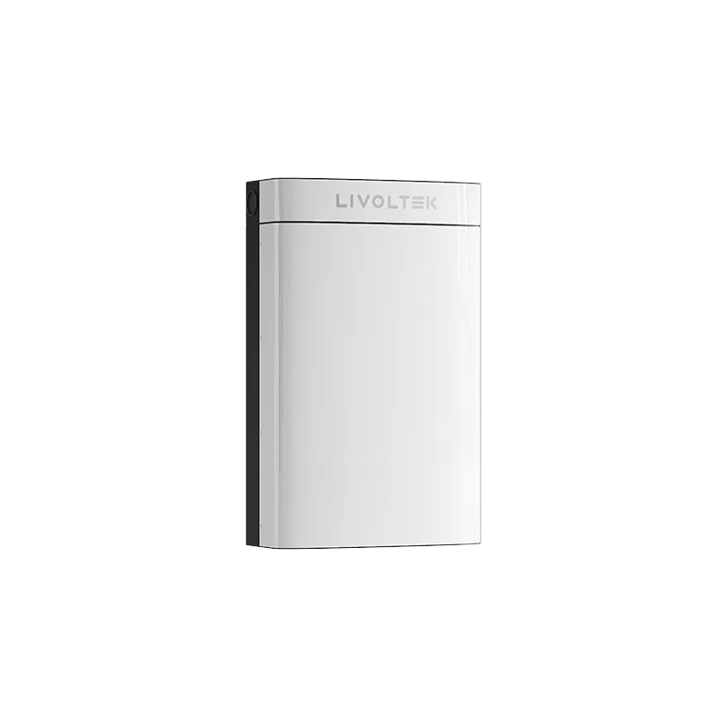 Batería de litio BLF de 12 y 24 V Livoltek