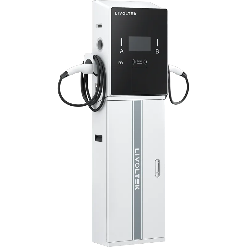 Cargador BUSH Business AC de 2 × 22 kW Livoltek